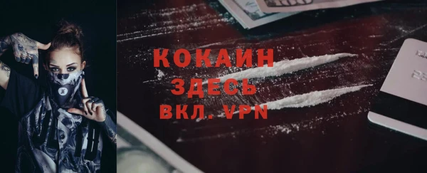стафф Михайлов