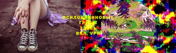 ГАЛЛЮЦИНОГЕННЫЕ ГРИБЫ Волгодонск