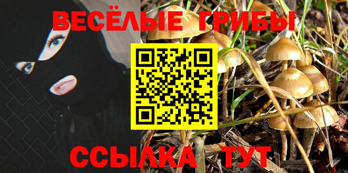 Псилоцибиновые грибы мухоморы  Галлюциногенные грибы MAGIC MUSHROOMS  Псков  Вход с VPN 