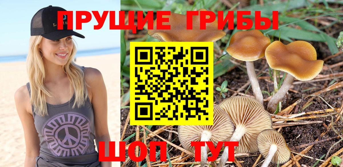 Псилоцибиновые грибы прущие грибы Псков